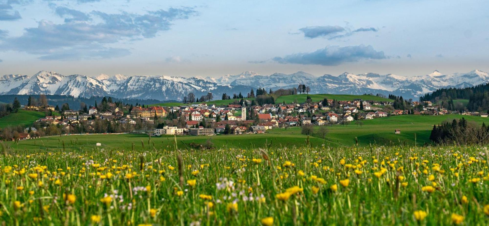 Ferienwohnung Bergpfote - Hund Herzlich Willkommen Scheidegg Zewnętrze zdjęcie