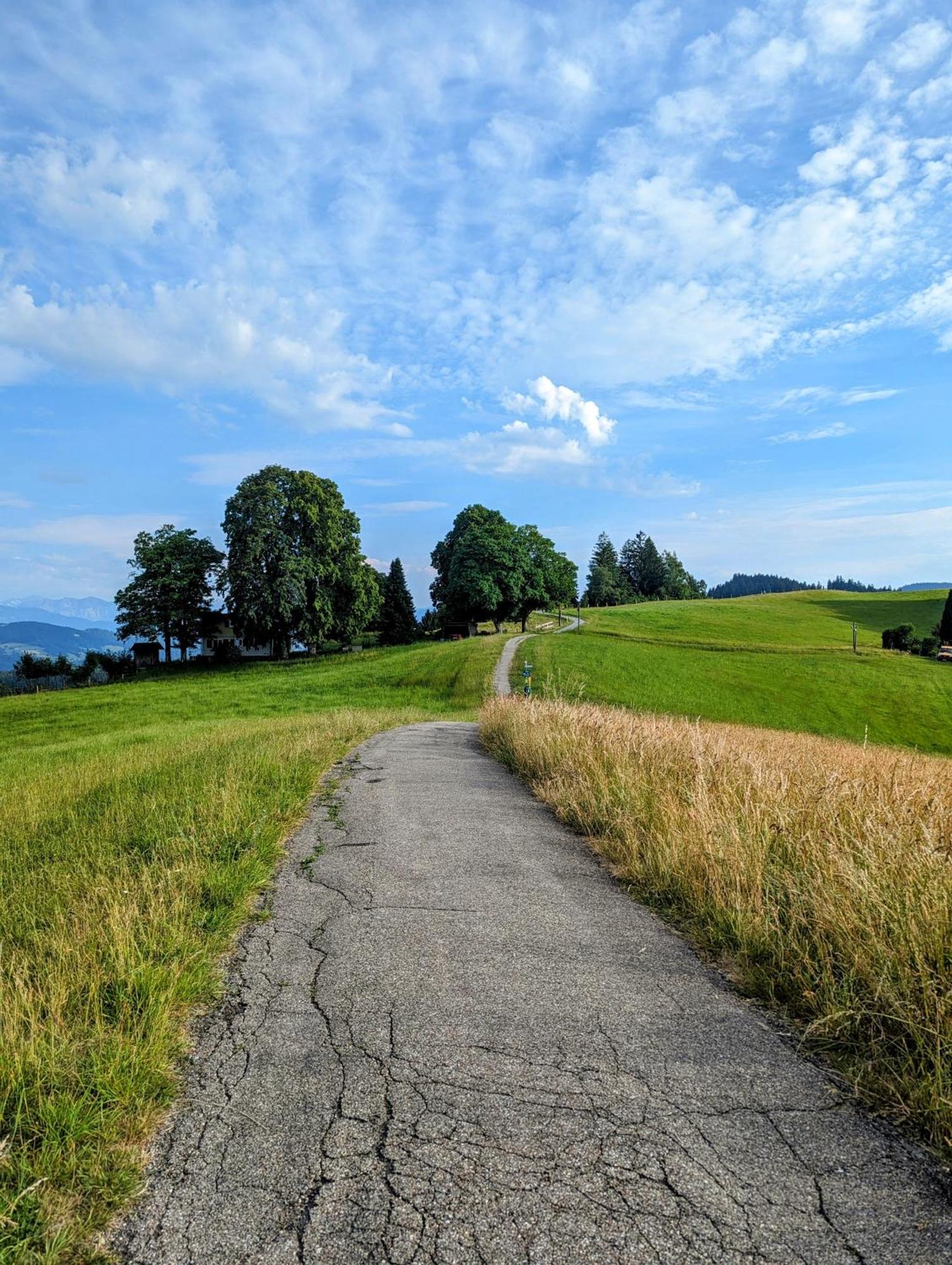 Ferienwohnung Bergpfote - Hund Herzlich Willkommen Scheidegg Zewnętrze zdjęcie